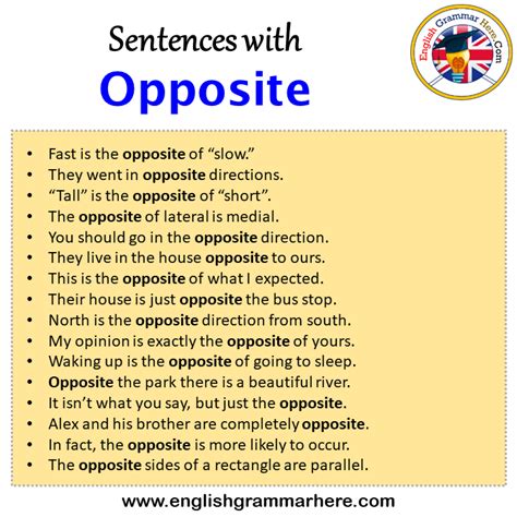 opposite traduzione|opposite example sentence.